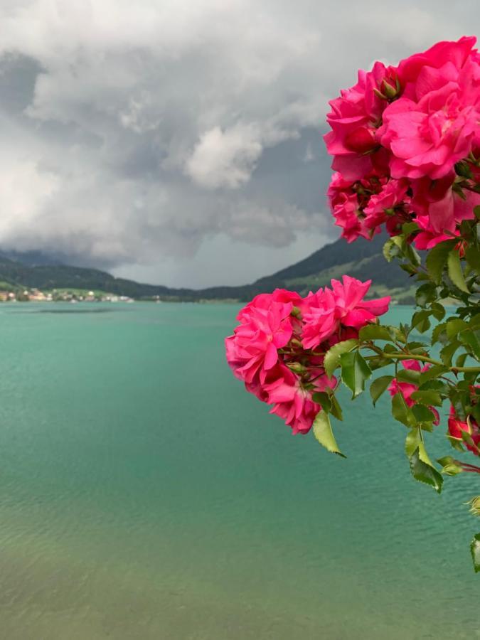 Hotel - Restaurant Eierhals Am Aegerisee Oberageri Екстер'єр фото